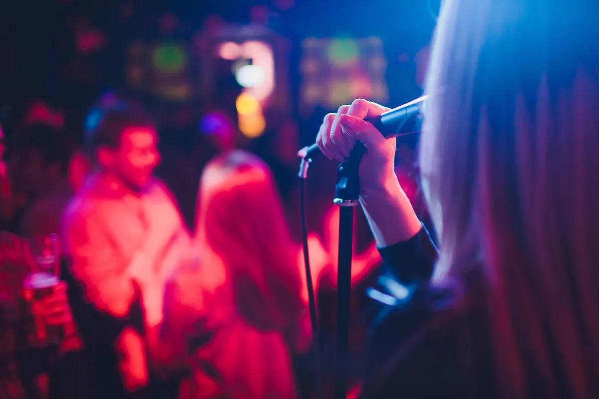 Karaoke image from The Party Hype’s existing website